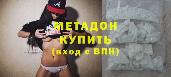 шишки Абаза