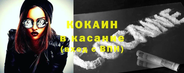 шишки Абаза