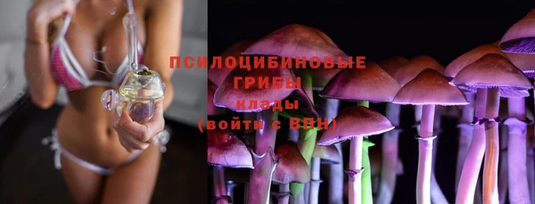 шишки Абаза