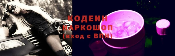 шишки Абаза