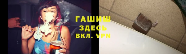 шишки Абаза