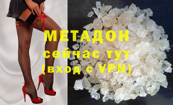 шишки Абаза
