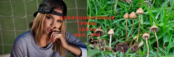 мяу мяу мука Абинск