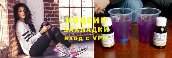 шишки Абаза