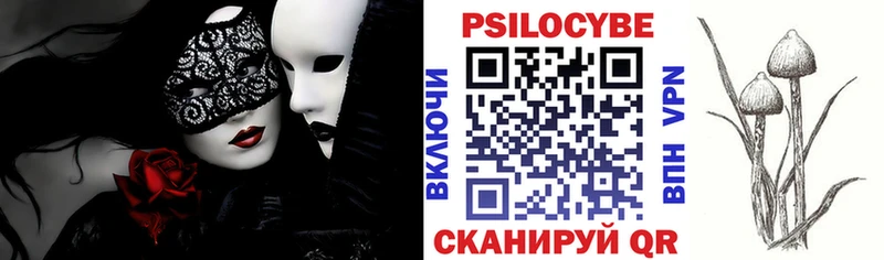 Псилоцибиновые грибы Cubensis  наркошоп  Шарыпово 